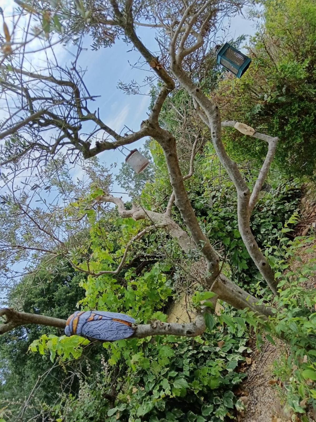 Le Mas Du Ruisseau Bellegarde  Ngoại thất bức ảnh